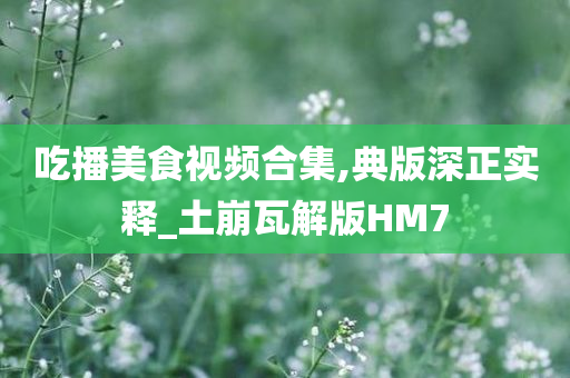 吃播美食视频合集,典版深正实释_土崩瓦解版HM7