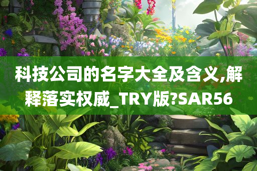 科技公司的名字大全及含义,解释落实权威_TRY版?SAR56