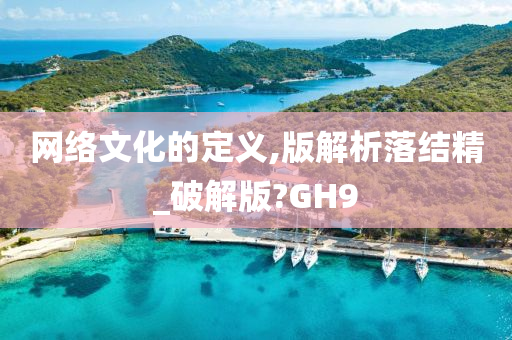 网络文化的定义,版解析落结精_破解版?GH9