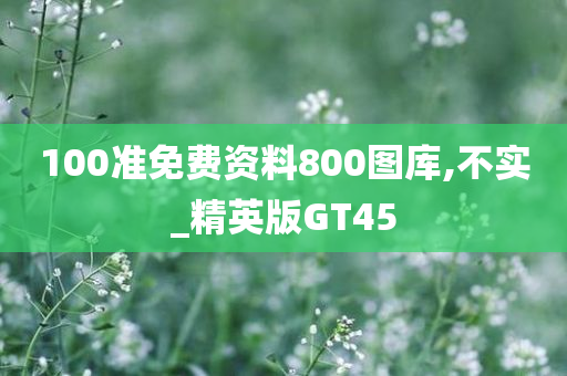 100准免费资料800图库,不实_精英版GT45