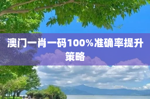 澳门一肖一码100%准确率提升策略