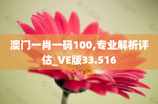 澳门一肖一码100,专业解析评估_VE版33.516