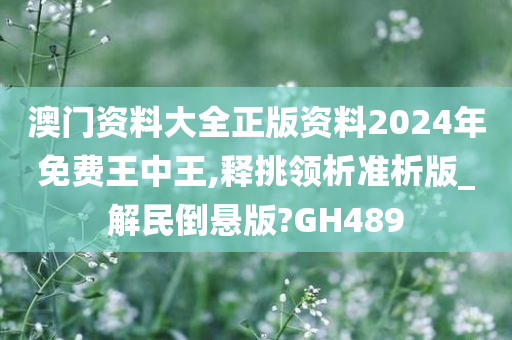 澳门资料大全正版资料2024年免费王中王,释挑领析准析版_解民倒悬版?GH489