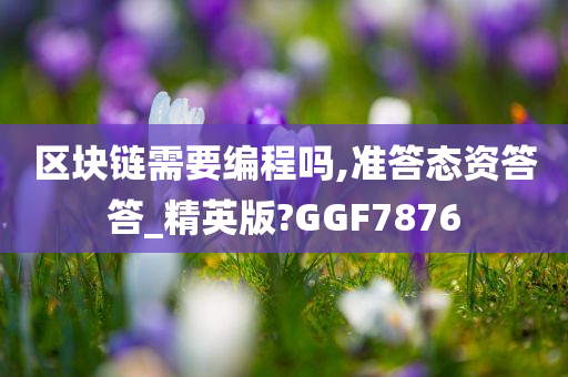 区块链需要编程吗,准答态资答答_精英版?GGF7876