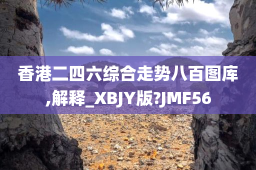 香港二四六综合走势八百图库,解释_XBJY版?JMF56