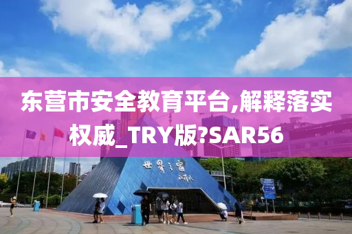 东营市安全教育平台,解释落实权威_TRY版?SAR56