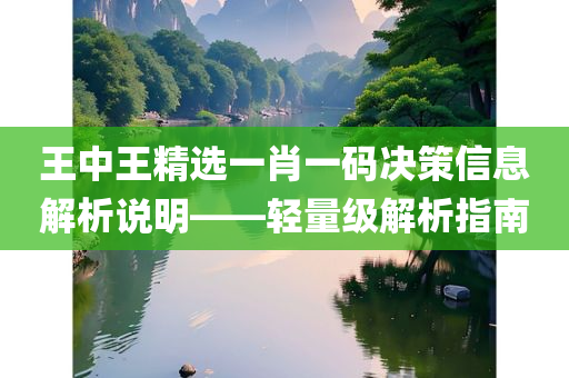 王中王精选一肖一码决策信息解析说明——轻量级解析指南