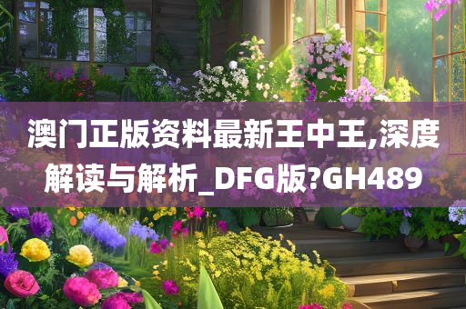 澳门正版资料最新王中王,深度解读与解析_DFG版?GH489