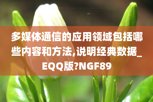 多媒体通信的应用领域包括哪些内容和方法,说明经典数据_EQQ版?NGF89