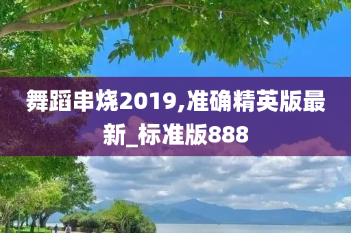 舞蹈串烧2019,准确精英版最新_标准版888