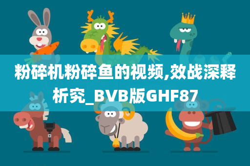 粉碎机粉碎鱼的视频,效战深释析究_BVB版GHF87