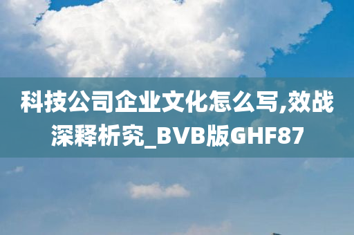 科技公司企业文化怎么写,效战深释析究_BVB版GHF87