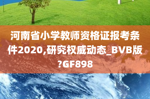 河南省小学教师资格证报考条件2020,研究权威动态_BVB版?GF898