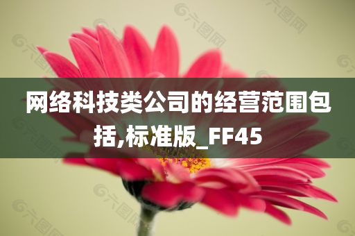 网络科技类公司的经营范围包括,标准版_FF45