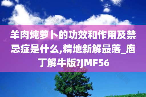 羊肉炖萝卜的功效和作用及禁忌症是什么,精地新解最落_庖丁解牛版?JMF56