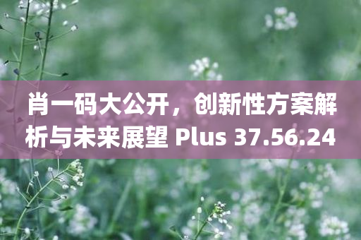 肖一码大公开，创新性方案解析与未来展望 Plus 37.56.24