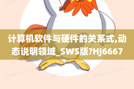 计算机软件与硬件的关系式,动态说明领域_SWS版?HJ6667