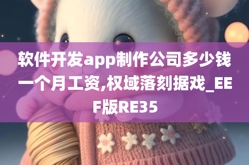 软件开发app制作公司多少钱一个月工资,权域落刻据戏_EEF版RE35