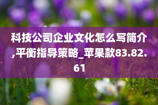 科技公司企业文化怎么写简介,平衡指导策略_苹果款83.82.61