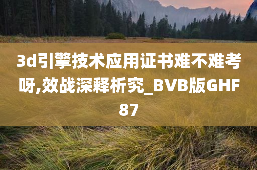 3d引擎技术应用证书难不难考呀,效战深释析究_BVB版GHF87