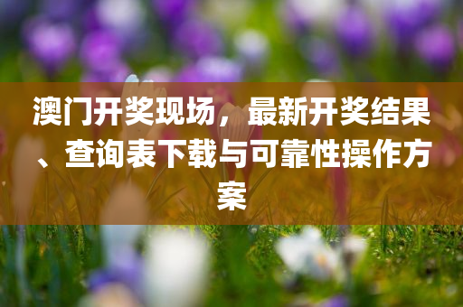 澳门开奖现场，最新开奖结果、查询表下载与可靠性操作方案