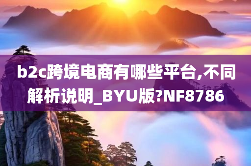 b2c跨境电商有哪些平台,不同解析说明_BYU版?NF8786