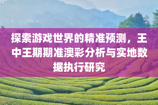 探索游戏世界的精准预测，王中王期期准澳彩分析与实地数据执行研究