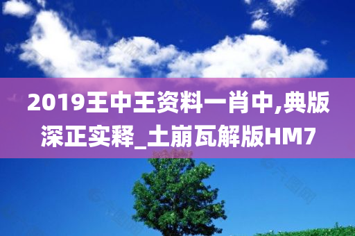 2019王中王资料一肖中,典版深正实释_土崩瓦解版HM7