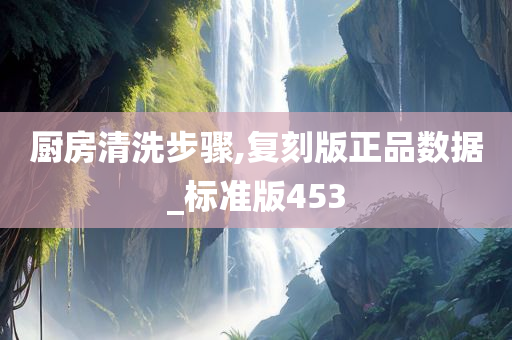 厨房清洗步骤,复刻版正品数据_标准版453