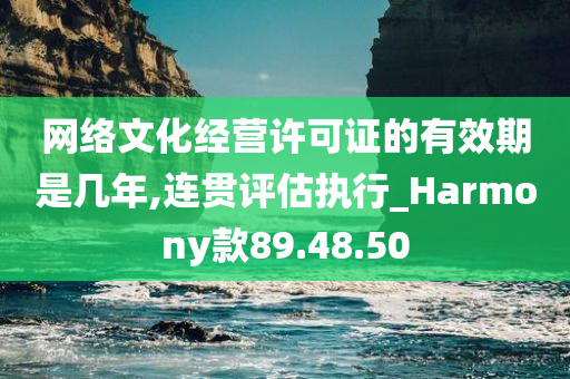 网络文化经营许可证的有效期是几年,连贯评估执行_Harmony款89.48.50