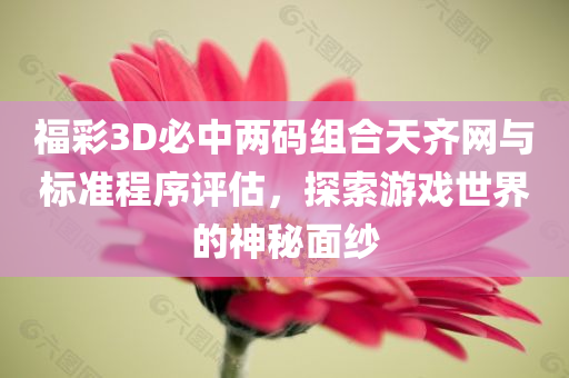 福彩3D必中两码组合天齐网与标准程序评估，探索游戏世界的神秘面纱