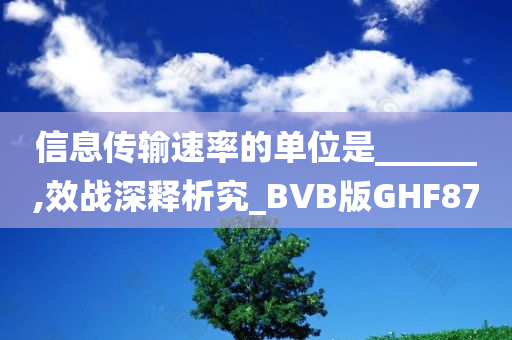 信息传输速率的单位是______,效战深释析究_BVB版GHF87