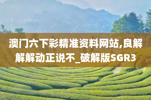 澳门六下彩精准资料网站,良解解解动正说不_破解版SGR3