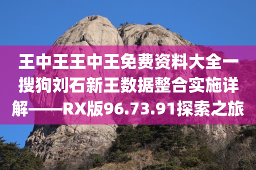 王中王王中王免费资料大全一搜狗刘石新王数据整合实施详解——RX版96.73.91探索之旅