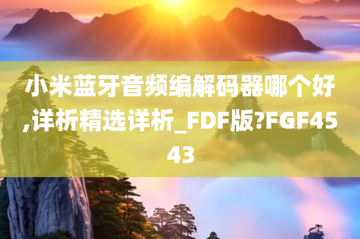 小米蓝牙音频编解码器哪个好,详析精选详析_FDF版?FGF4543