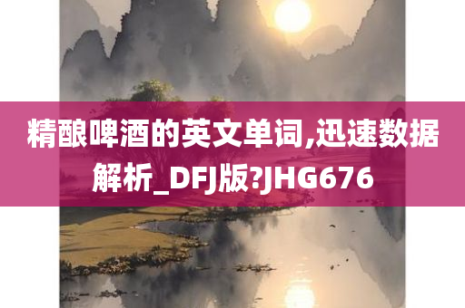 精酿啤酒的英文单词,迅速数据解析_DFJ版?JHG676