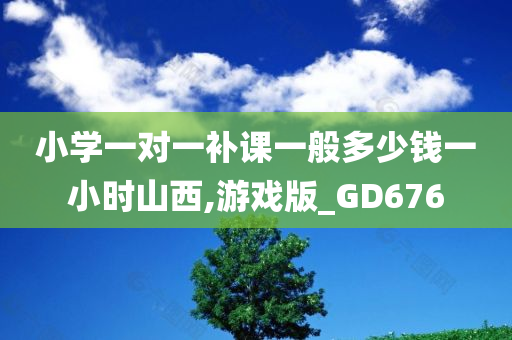 小学一对一补课一般多少钱一小时山西,游戏版_GD676