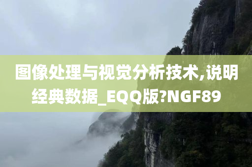 图像处理与视觉分析技术,说明经典数据_EQQ版?NGF89