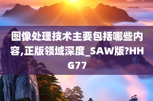 图像处理技术主要包括哪些内容,正版领域深度_SAW版?HHG77