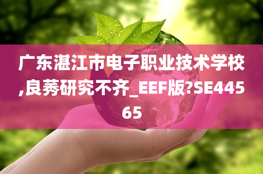 广东湛江市电子职业技术学校,良莠研究不齐_EEF版?SE44565