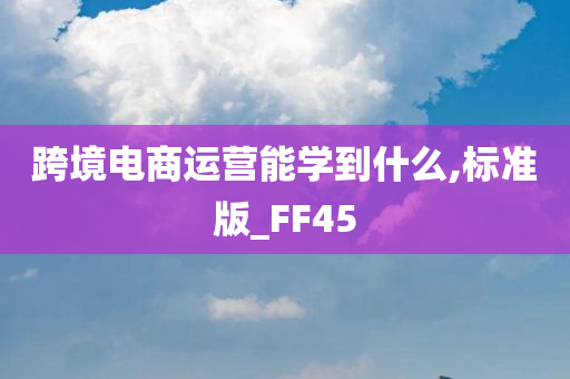 跨境电商运营能学到什么,标准版_FF45