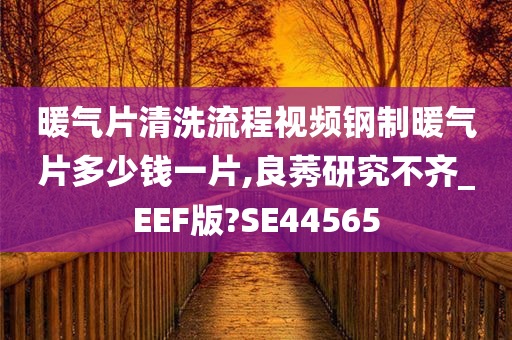 暖气片清洗流程视频钢制暖气片多少钱一片,良莠研究不齐_EEF版?SE44565