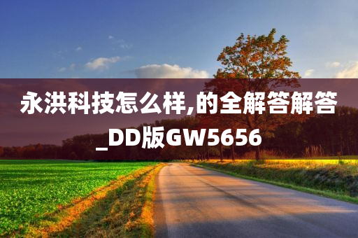 永洪科技怎么样,的全解答解答_DD版GW5656