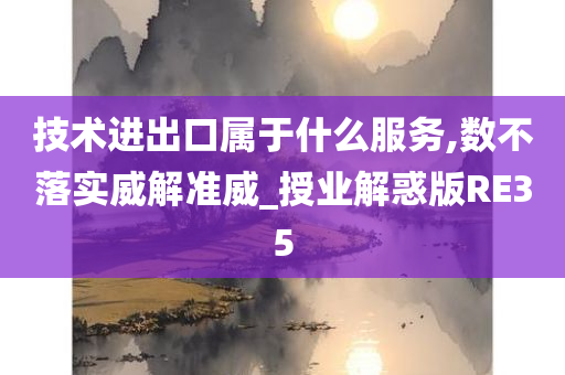 技术进出口属于什么服务,数不落实威解准威_授业解惑版RE35