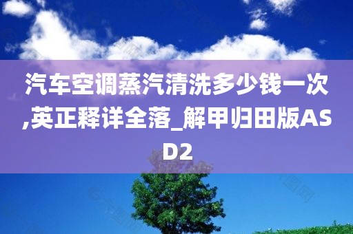 汽车空调蒸汽清洗多少钱一次,英正释详全落_解甲归田版ASD2