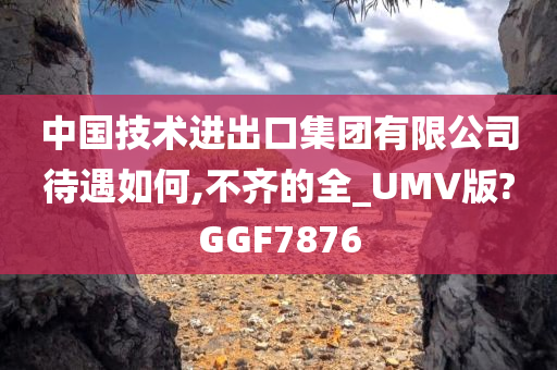 中国技术进出口集团有限公司待遇如何,不齐的全_UMV版?GGF7876