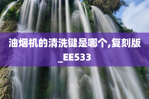 油烟机的清洗键是哪个,复刻版_EE533