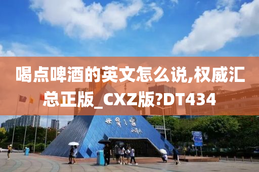 喝点啤酒的英文怎么说,权威汇总正版_CXZ版?DT434