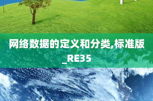 网络数据的定义和分类,标准版_RE35