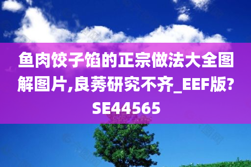 鱼肉饺子馅的正宗做法大全图解图片,良莠研究不齐_EEF版?SE44565